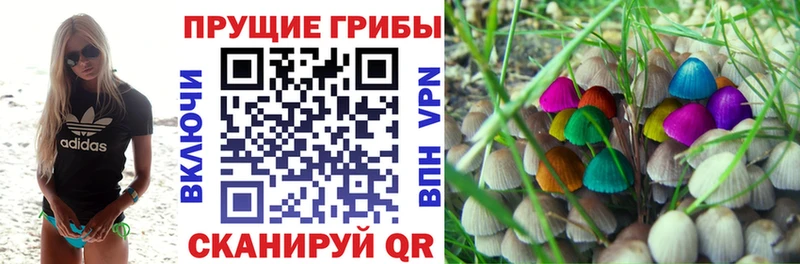Псилоцибиновые грибы MAGIC MUSHROOMS  Купить  Рудня 